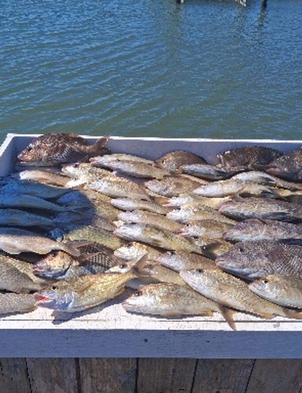Atlantic Blue Charters