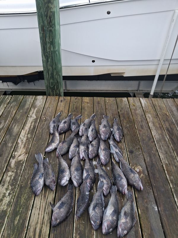 Atlantic Blue Charters