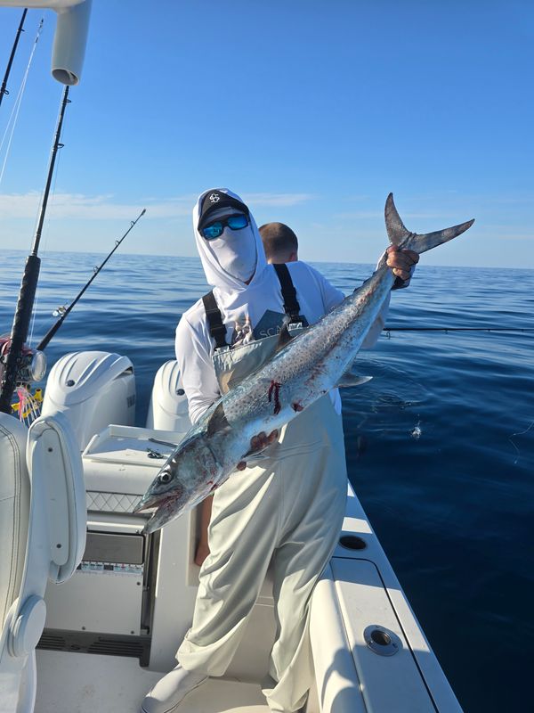 Scale House Charters