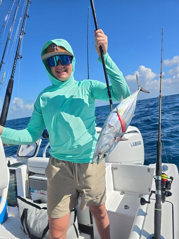 Scale House Charters