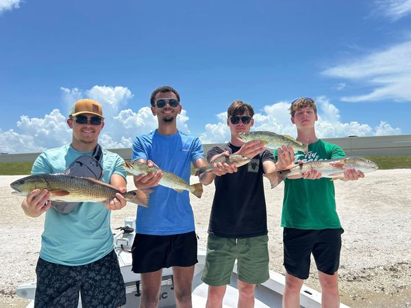 Reel Adventures