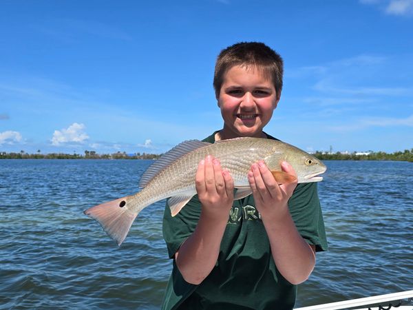 Reel Adventures
