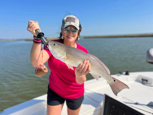 Fresh N Salty Charter