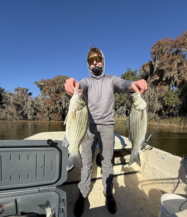 Aquatic Tour and Guide of Florida