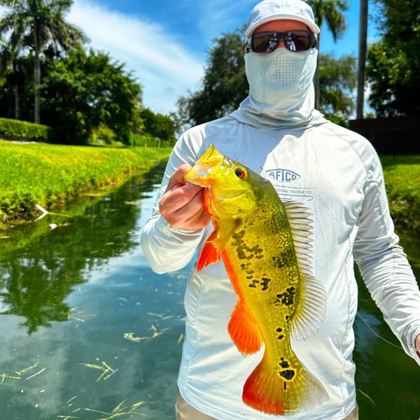 Endless Adventure Fishing Charters