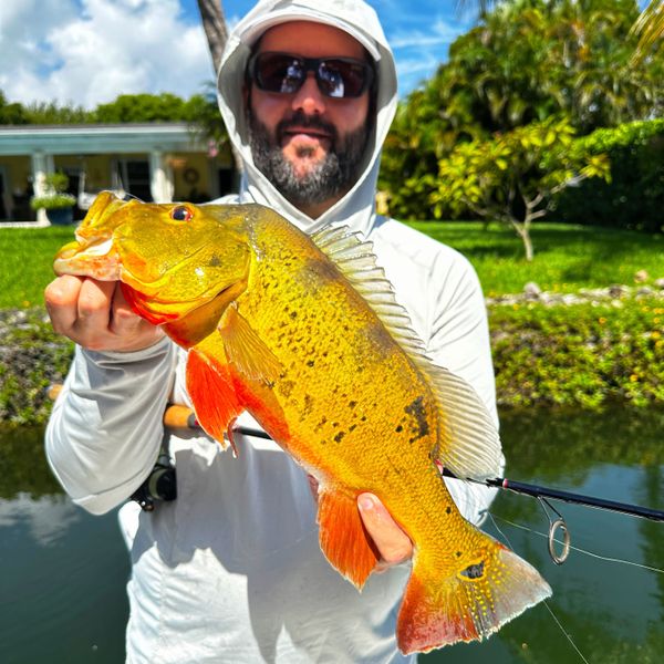 Endless Adventure Fishing Charters