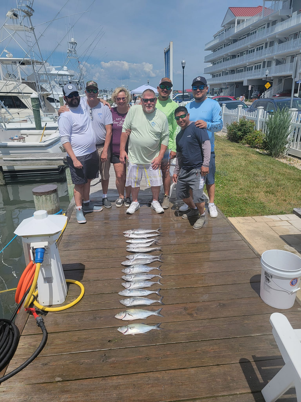 Reel Naughty Sportfishing