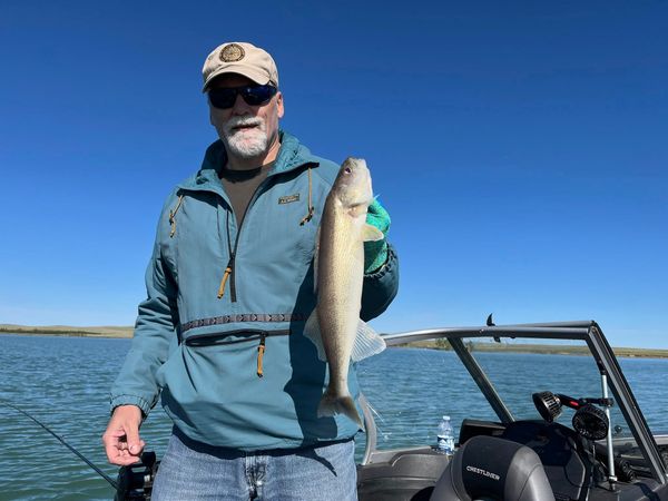 Wild Walleye Outfitters