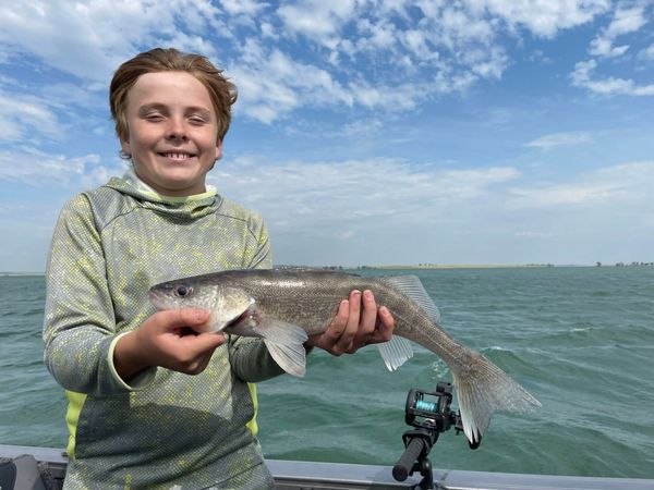 Wild Walleye Outfitters