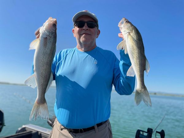 Wild Walleye Outfitters