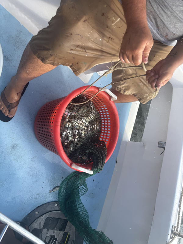 Lucky Strike Charters
