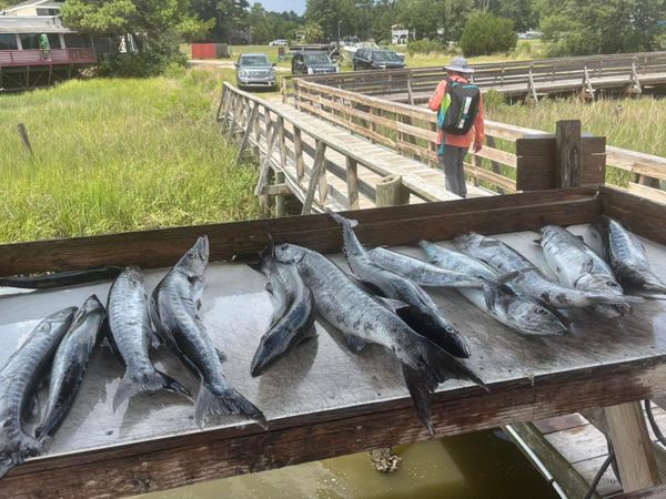 Lucky Strike Charters