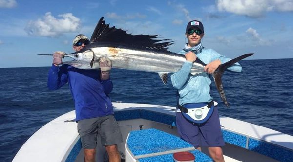 Too Lethal Charters