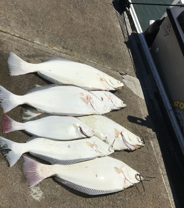 Deadliest Kast Fishing