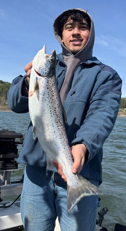 Captain Thorny's Fishing Charters