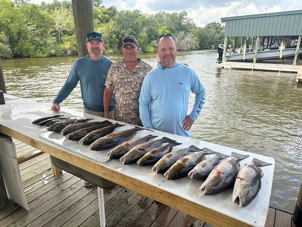 Cajun Outcast Inshore Charters