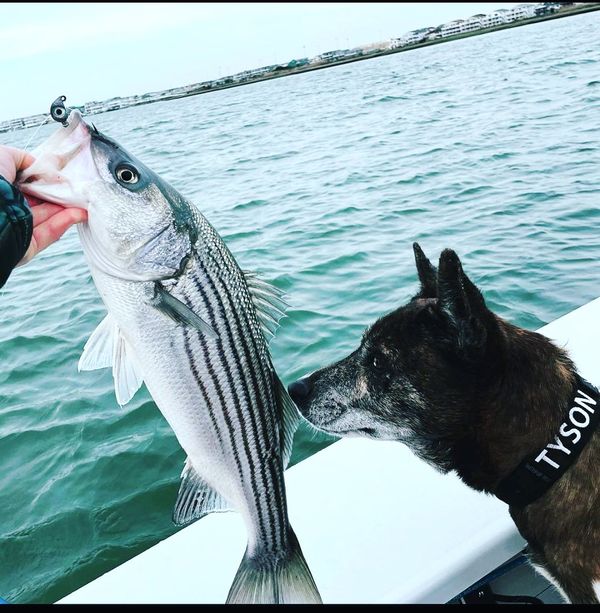 South Jersey Inshore Guide Service