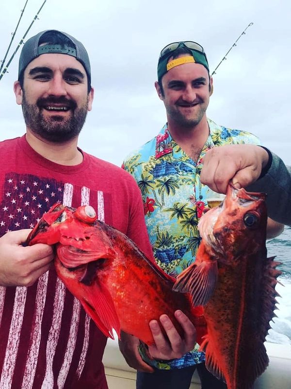 Western Star Sportfishing