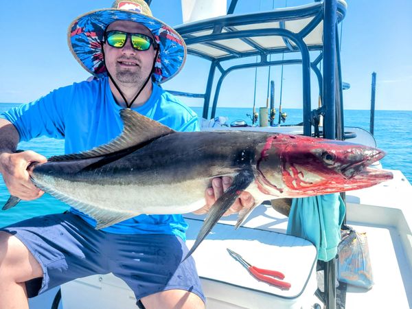 Tailwalker Fishing Charters LLC