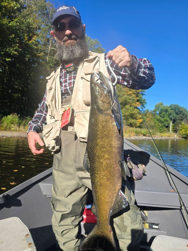 Apocalypse Fishing