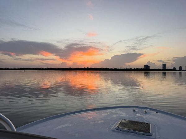 Lucky Dog Sportfishing