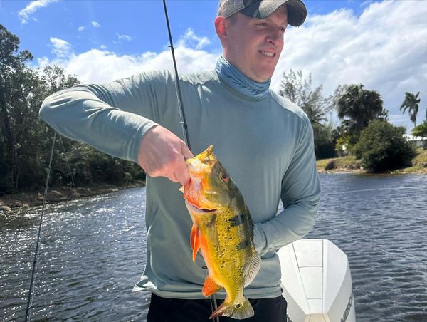 Naples Inshore Fishing