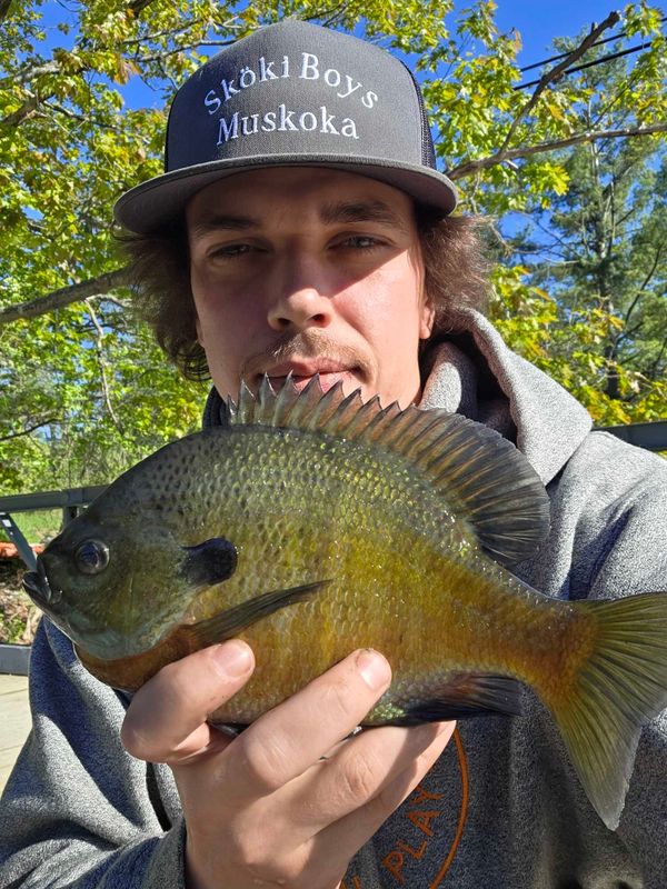 On The Line Fishing Adventures