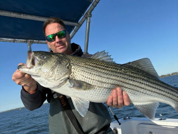 Prime Reel Estate Sportfishing