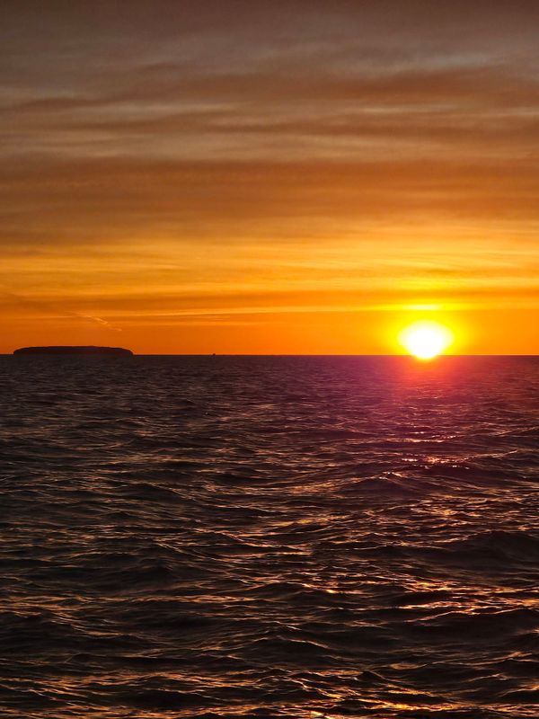 The Dirty Hooker Fishing Charters