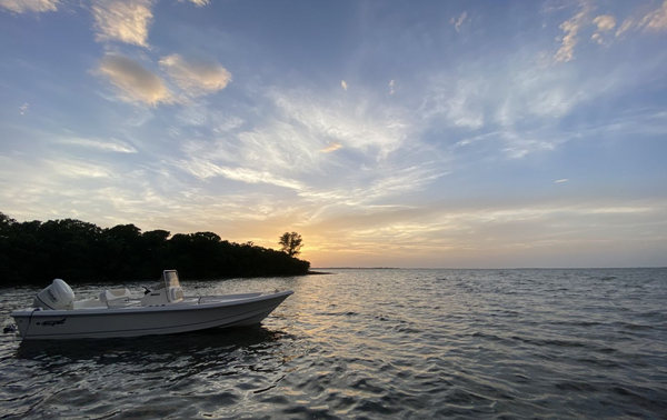 Fish Fixation Charters