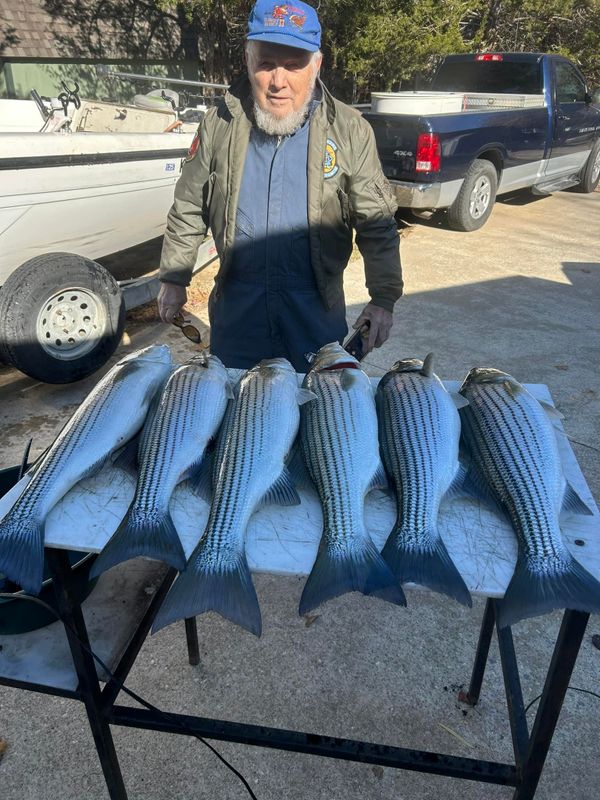 Curt Goff Striper Guide