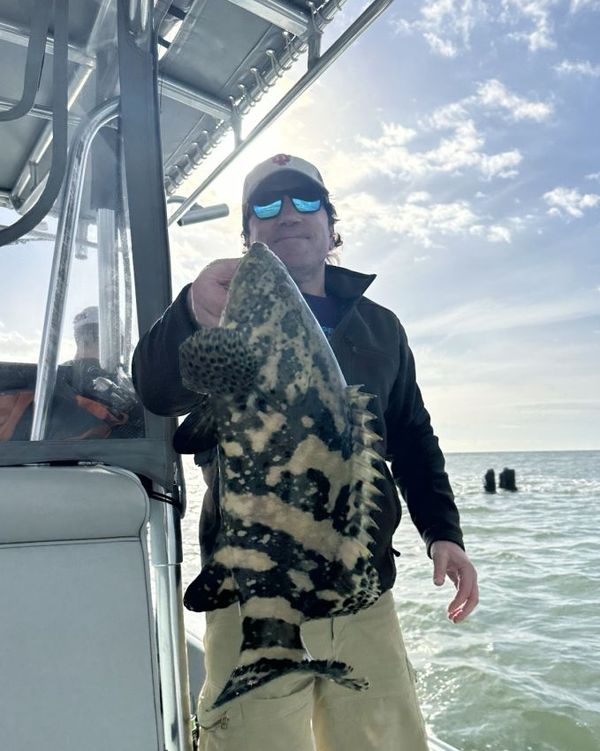Shotime Charters