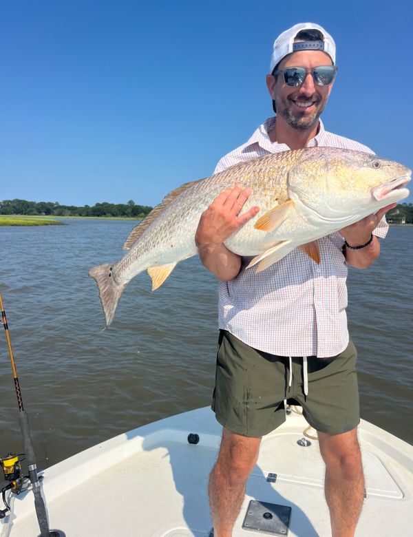 Fish Bluffton