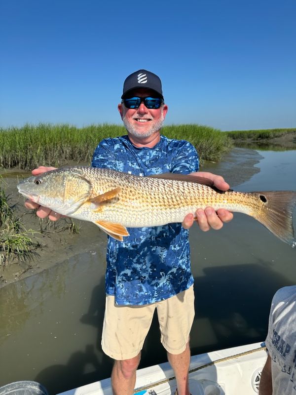 Fish Bluffton