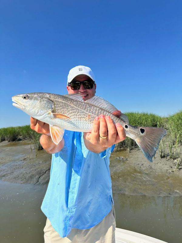 Fish Bluffton