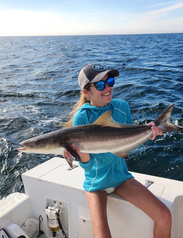 Wild mullet charters