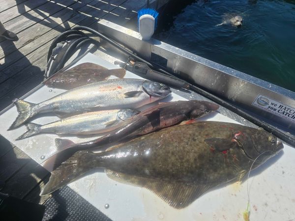 Full Melt Charters