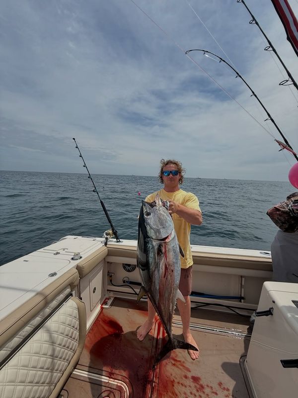 Jordi Sport Fishing