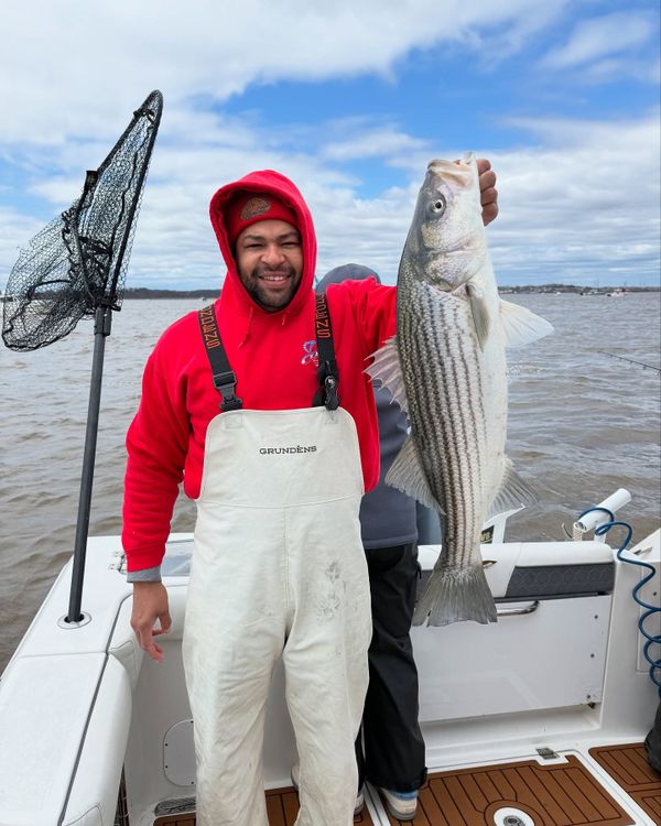 Jordi Sport Fishing