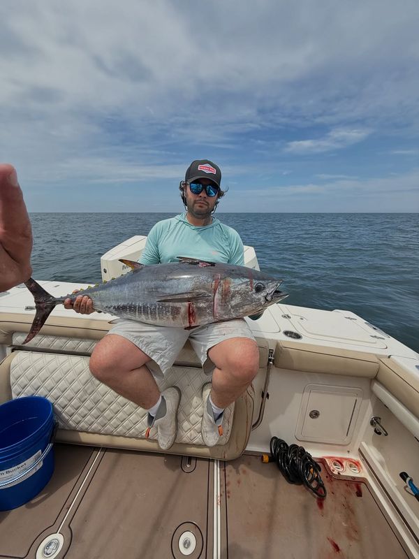 Jordi Sport Fishing