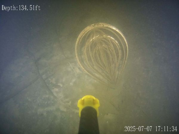 Frontline Dive & Recovery