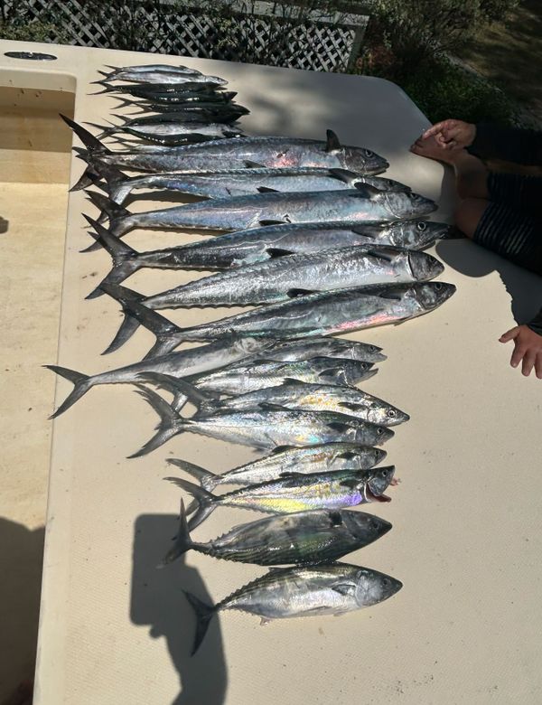 Victory Charters