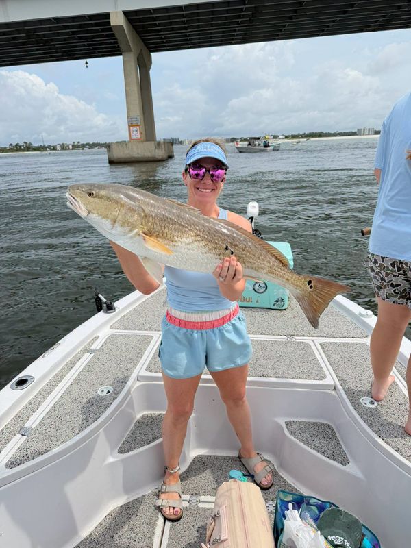 Southern Sun Fishing Charters