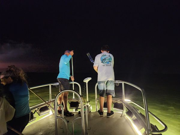 Changing Lanes Fishing Charters LLC