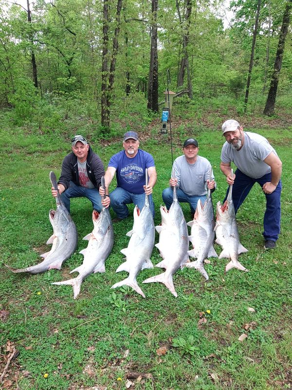 All-Out Fishing Charters