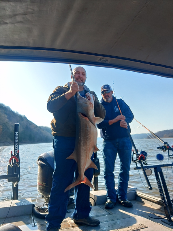 All-Out Fishing Charters