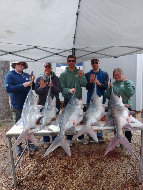 All-Out Fishing Charters
