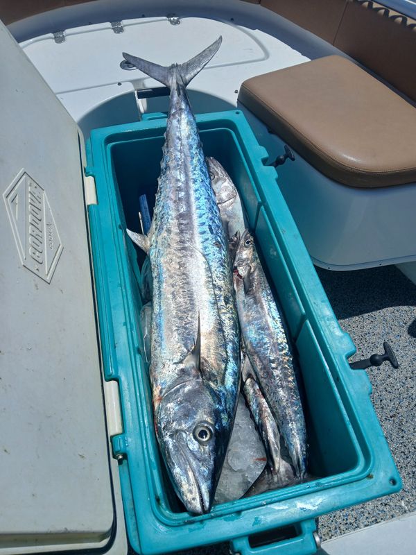 Playin' Hooky Charters