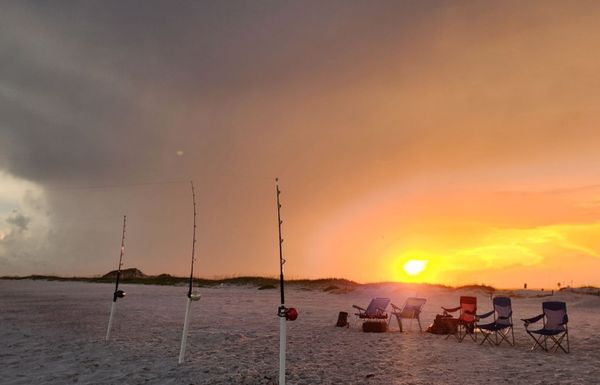 Tremor Shark Fishing