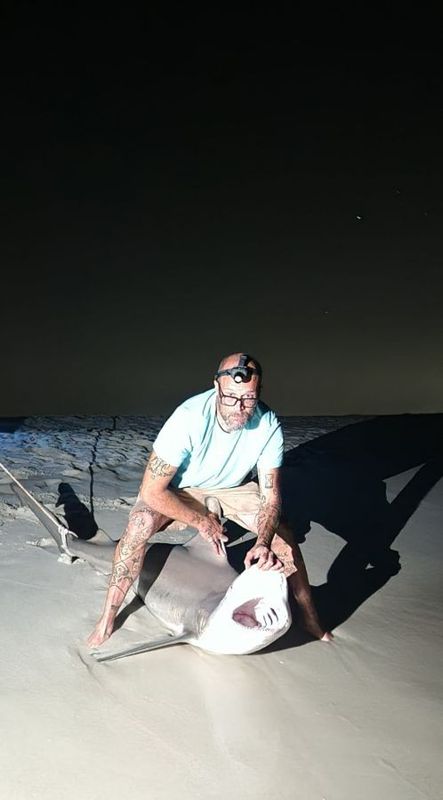 Tremor Shark Fishing